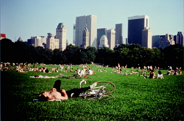 CENTRAL PARK 1