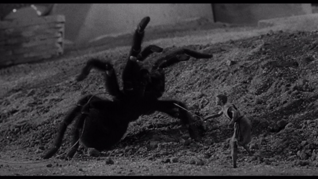 INCREDIBLE SHRINKING MAN 2