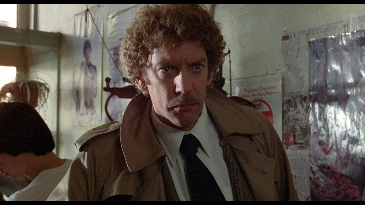 INVASION OF THE BODY SNATCHERS 3